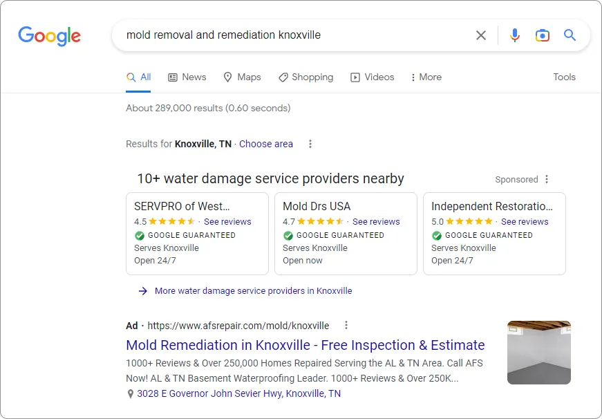 Google Pay Per Click Ads - Mold Removal And Remediation