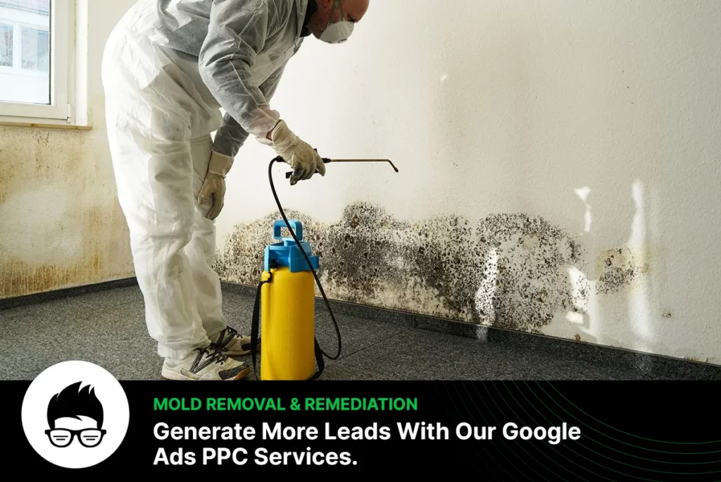 Mold Removal & Remediation Google PPC Ads
