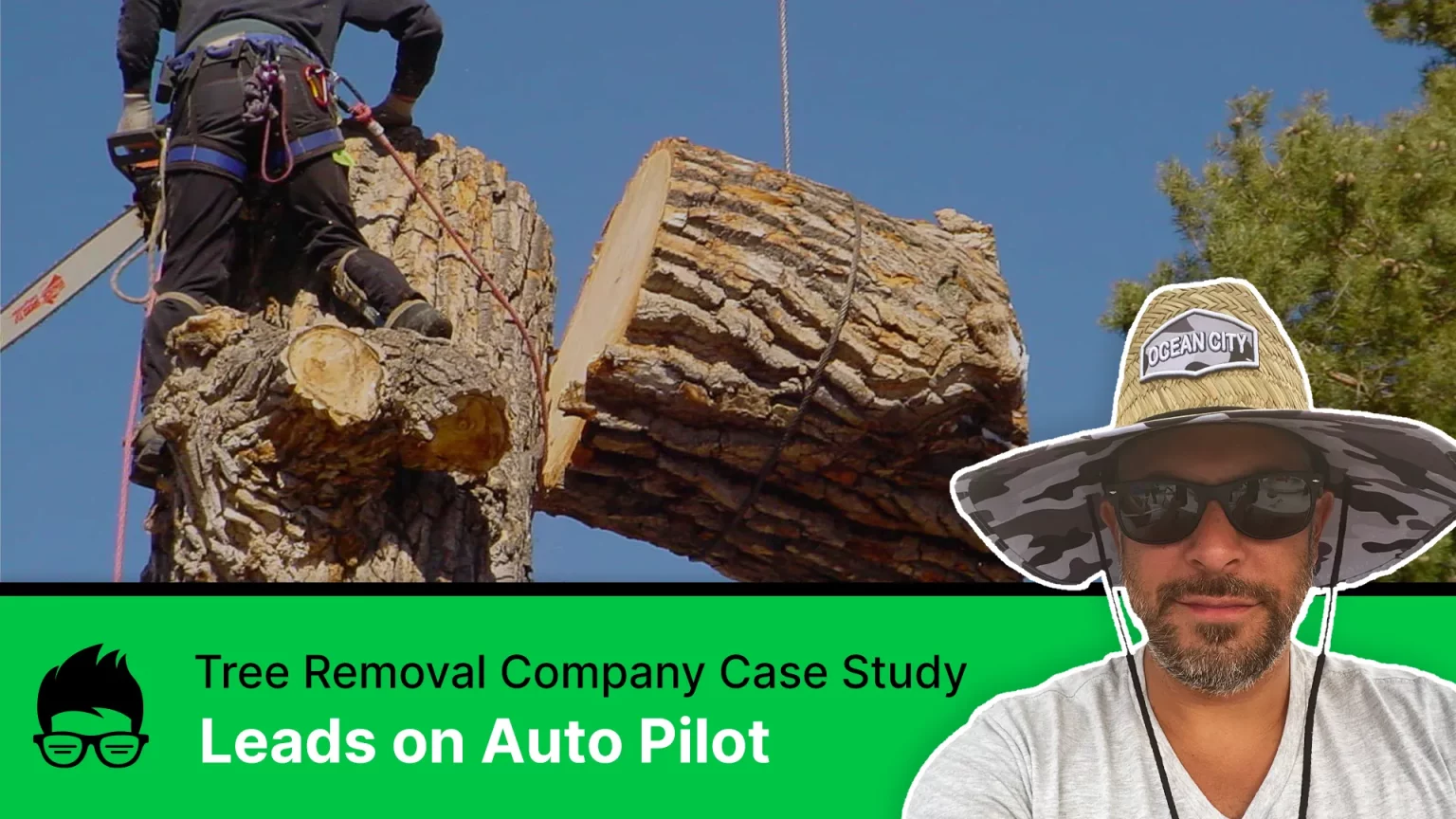 Google Ads Case Study - Tree Removal Company PPC Ads