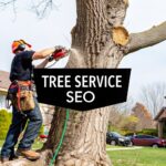 Mastering Tree Service SEO: A Guide to Winning More Local Jobs