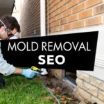 A Guide to Mold Removal SEO: Get More Local Customers