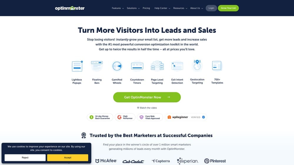 Screenshot of OptinMonster website homepage
