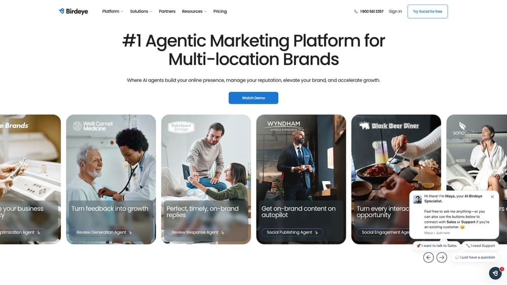 Screenshot of Birdeye website