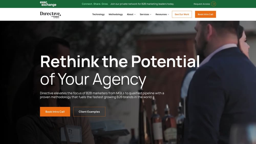 Screenshot of Directive Consulting website