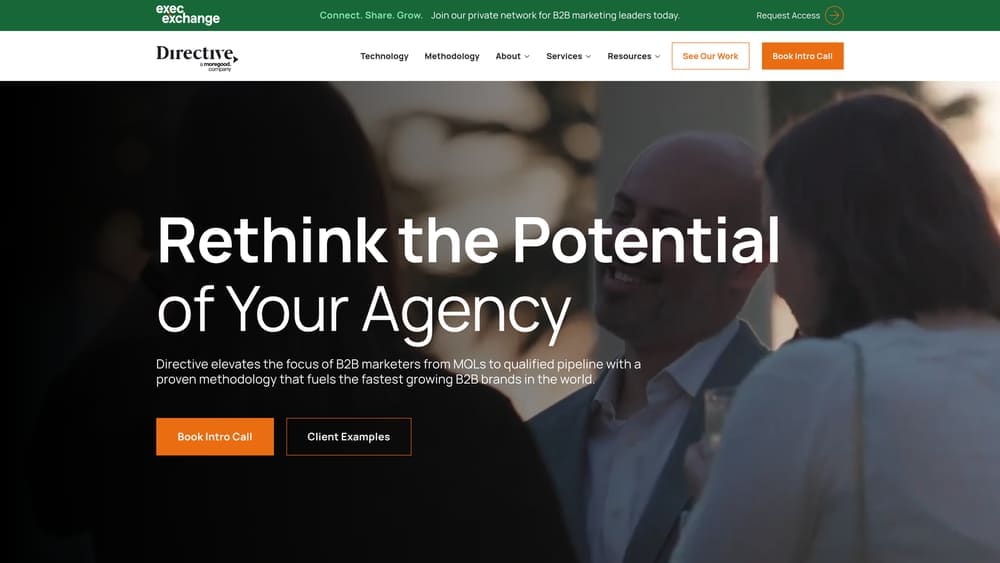 Screenshot of Directive Consulting website