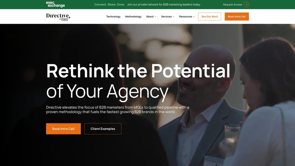 Screenshot of Directive Consulting website