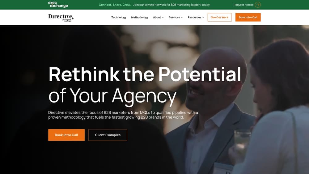 Screenshot of Directive website