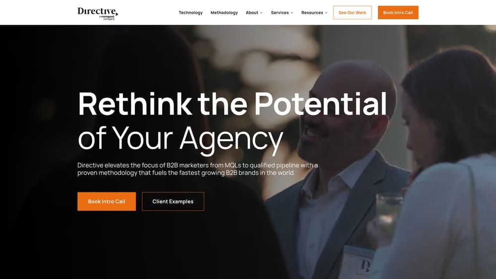 Screenshot of Directive website