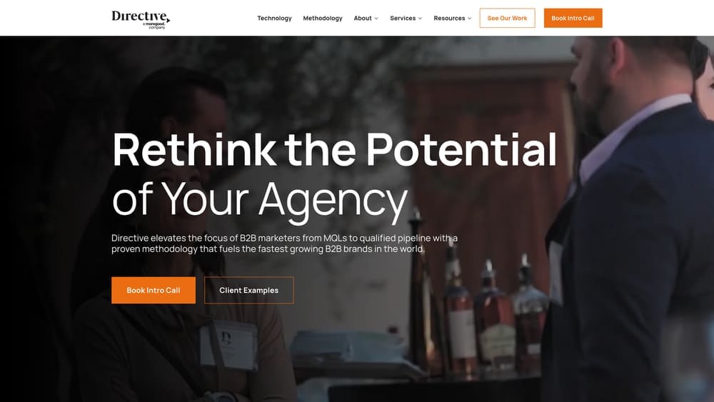 Screenshot of Directive Consulting website