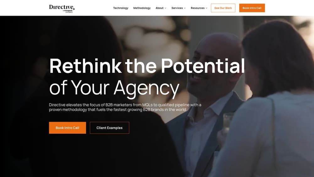 Screenshot of Directive Consulting website