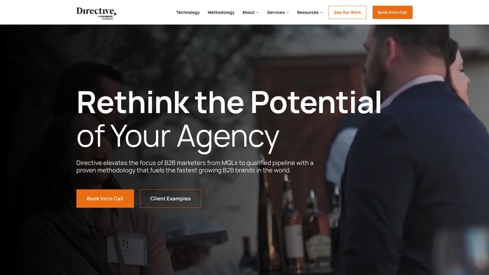 Screenshot of Directive Consulting website