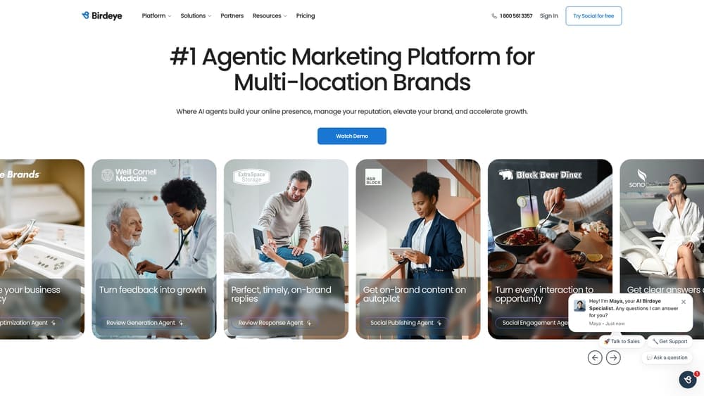 Screenshot of Birdeye website