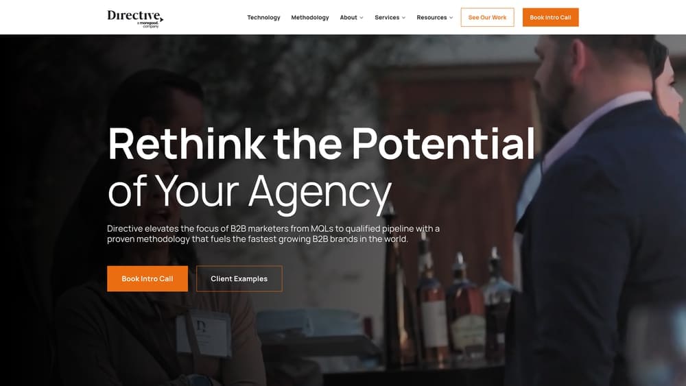 Screenshot of Directive Consulting website