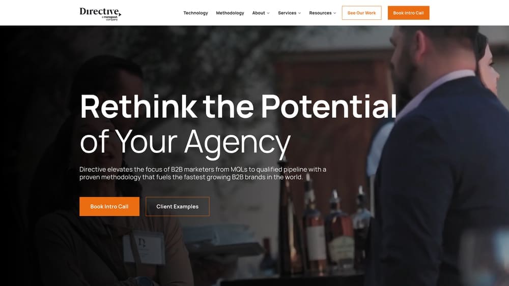 Screenshot of Directive Consulting website