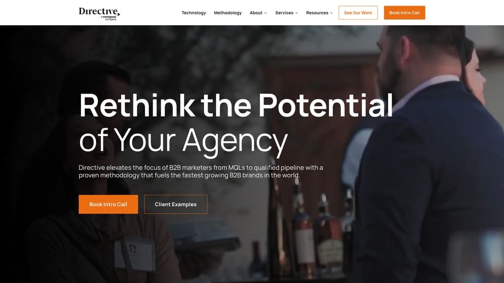 Screenshot of Directive Consulting website