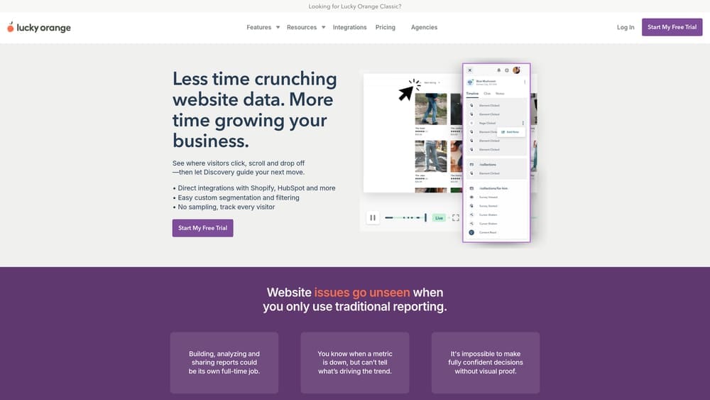 Screenshot of Lucky Orange website