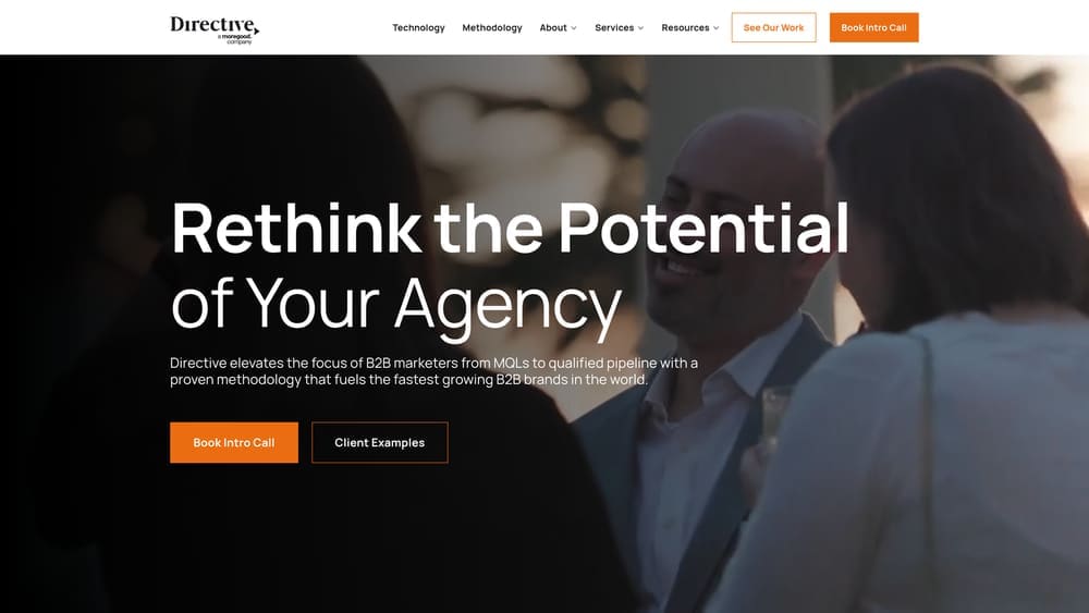 Screenshot of Directive Consulting website