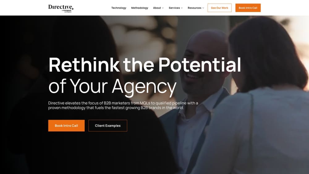 Screenshot of Directive Consulting website