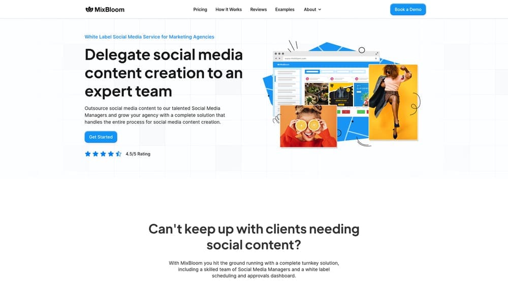 Screenshot of MixBloom website