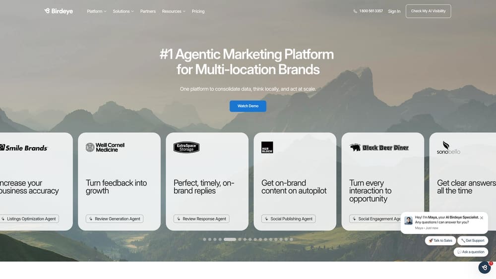 Screenshot of Birdeye website