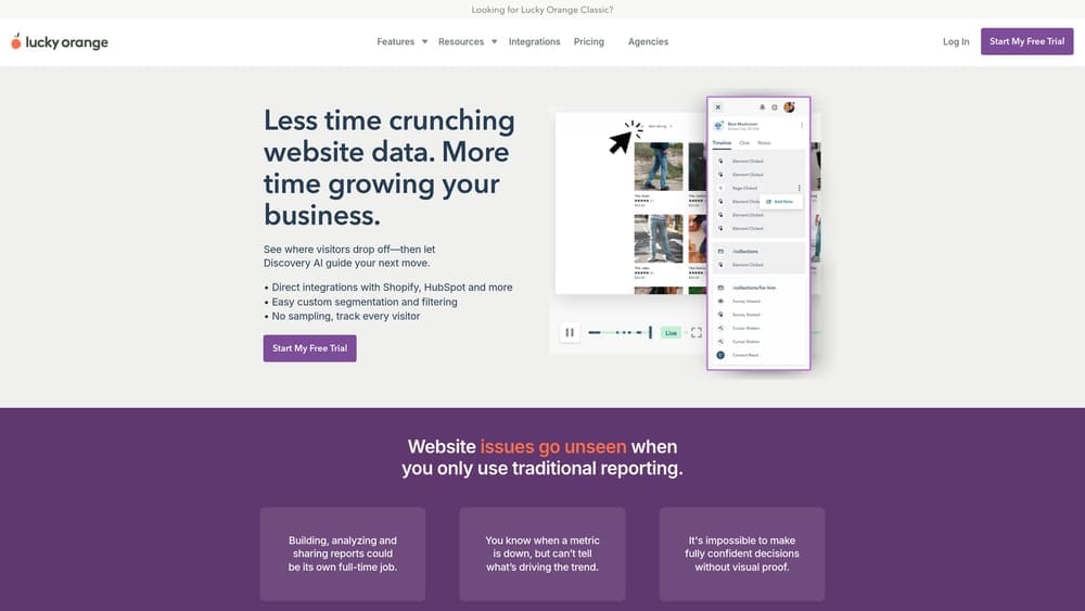 Screenshot of Lucky Orange website