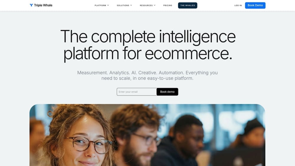 Screenshot of TripleWhale website