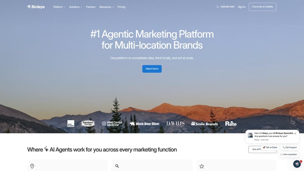 Screenshot of Birdeye website