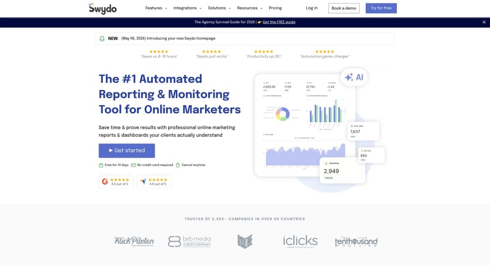 Screenshot of Swydo website
