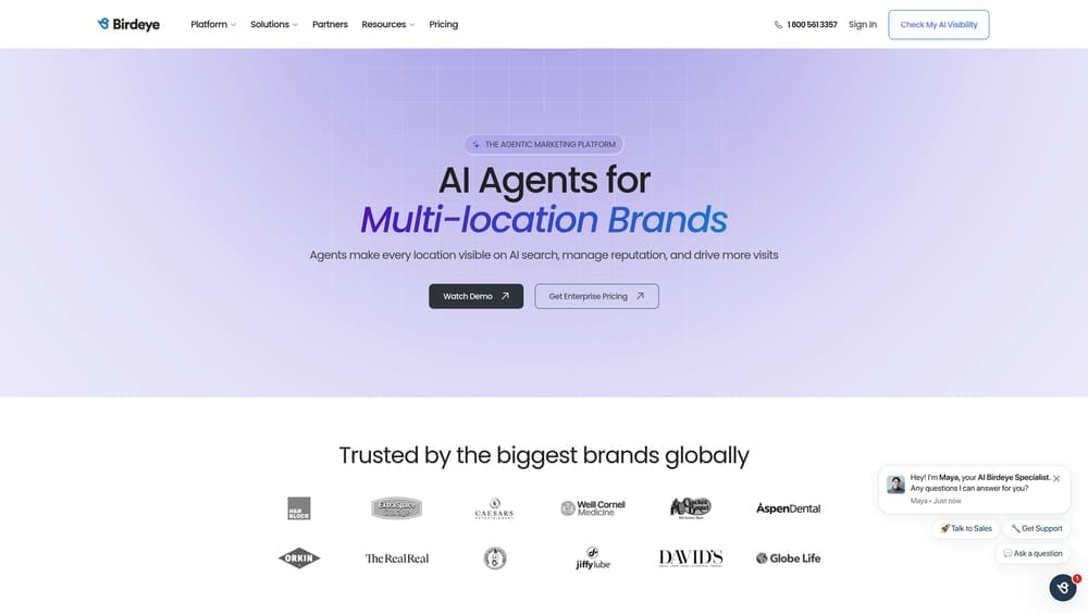 Screenshot of Birdeye website