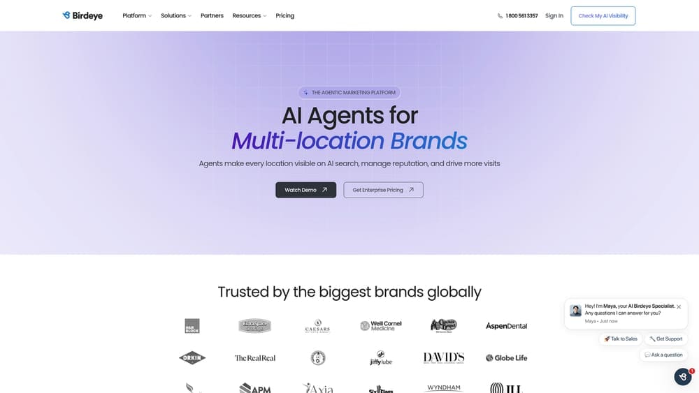 Screenshot of Birdeye website
