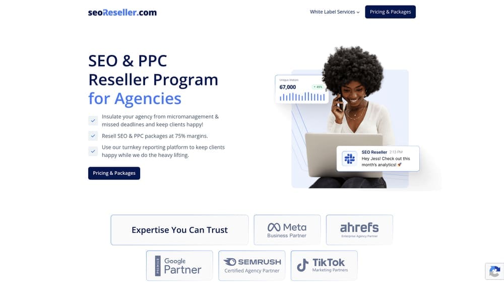 Screenshot of SEOReseller website