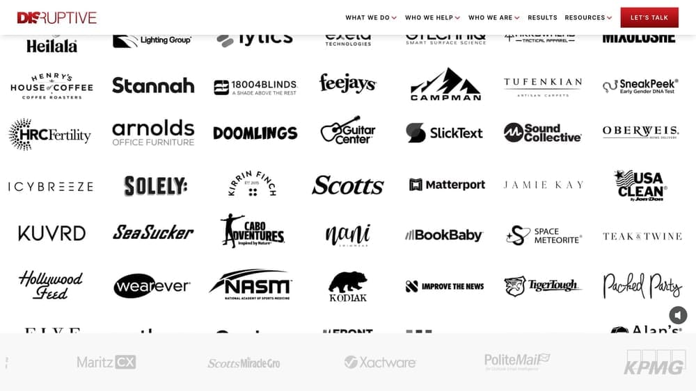 Screenshot of Disruptive Advertising website