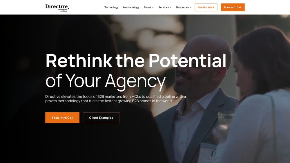 Screenshot of Directive website