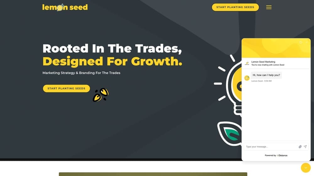 Screenshot of Lemon Seed Marketing website